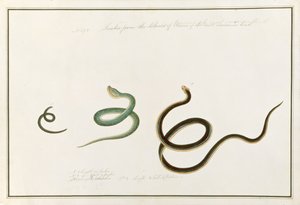 Huonekalut ja erilaiset esineet 1100- ja 1300-luvuilta
